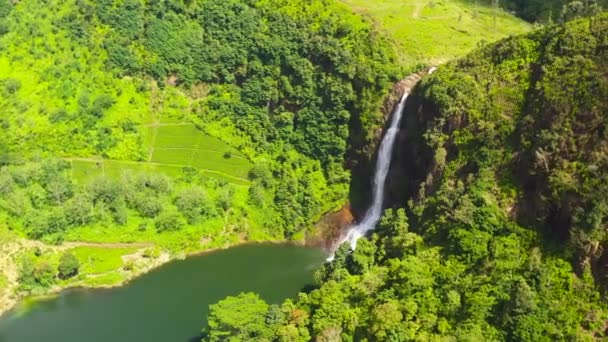 紅茶プランテーションの間の山岳地方の滝 ガートモアが倒れる マスクリヤ スリランカ — ストック動画
