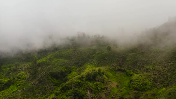 Top View Tropical Landscape Tea Estate Mountains Tea Plantations Sri — Stockvideo