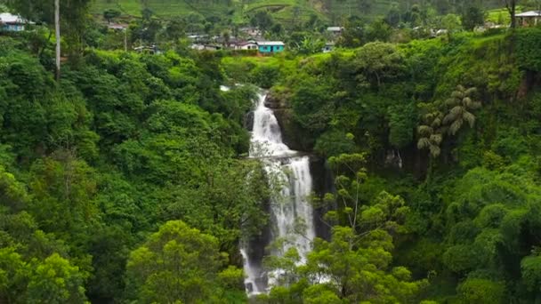 Вид Воздуха Водопад Горной Провинции Среди Холмов Чайной Усадьбой Маунт — стоковое видео