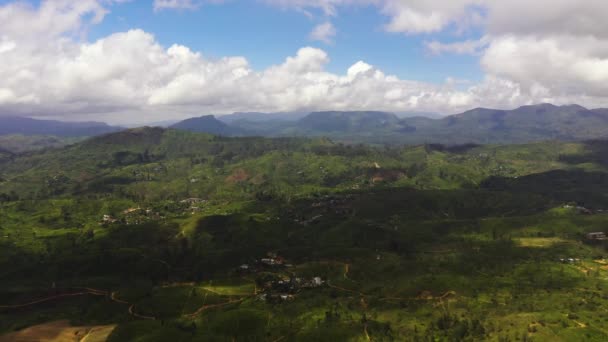 Tea Plantations Agricultural Land Mountainous Province Tea Estate Landscape Maskeliya — Video