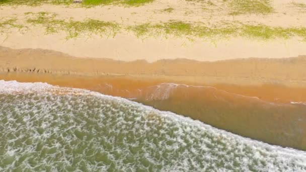 Воздушный Дрон Красивый Тропический Пляж Голубое Море Шри Ланка — стоковое видео