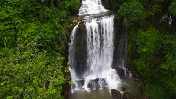 斯里兰卡丛林中的热带瀑布 弗农瀑布山 — 图库视频影像