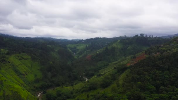 Vista Aérea Vale Montanha Com Plantações Chá Terras Agrícolas — Vídeo de Stock