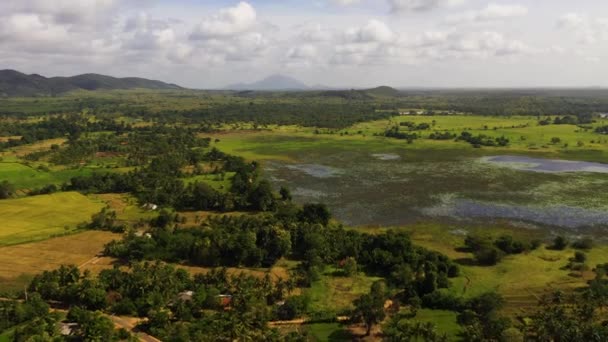 山下有农田和热带雨林的景观 斯里兰卡 — 图库视频影像