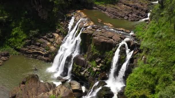 Waterval Het Regenwoud Uitzicht Jungle Van Bovenaf Clair Falls — Stockvideo