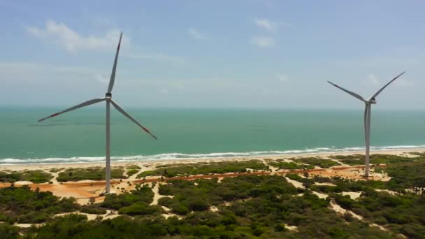 Aerial View Group Windmills Renewable Electric Energy Production Mannar Sri — Stock Video