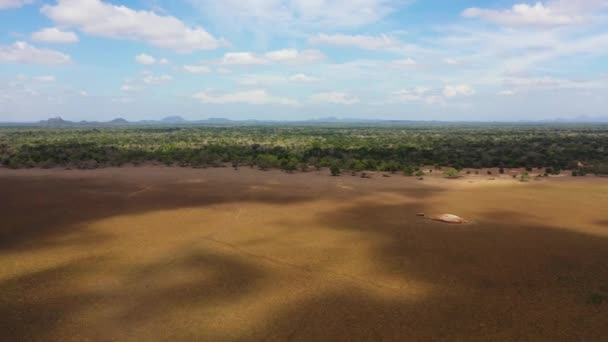 Vista Aérea Lago Seco Pântanos Entre Selva Parque Nacional Kumana — Vídeo de Stock