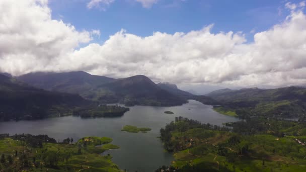 Piękny Rezerwat Maussakelle Posiadłość Herbaty Sri Lance — Wideo stockowe