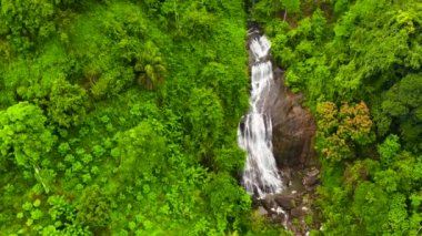 Yağmur ormanı manzaralı güzel bir şelale. Kuda Şelalesi, Sri Lanka.