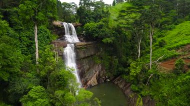 Yağmur ormanlarındaki şelale, orman. Tropik Thaliya Wetuna Ella Şelalesi dağ ormanında. Sri Lanka.