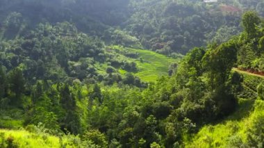 Sri Lanka 'nın dağlık bir bölgesinde yağmur ormanı ve tarım arazisi olan dağların havadan görünüşü.
