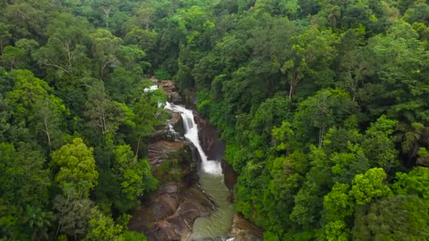 Uma Bela Cachoeira Aberdeen Entre Floresta Tropical Vegetação Sri Lanka — Vídeo de Stock