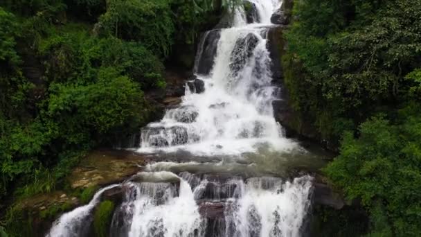 熱帯雨林の滝 ジャングル スリランカのバーノン山 — ストック動画