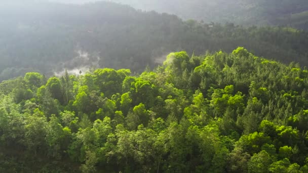 Aerial View Mountains Green Hills Sri Lanka Slopes Mountains Evergreen — Stockvideo