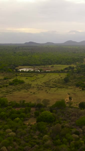 Terras Agrícolas Entre Floresta Tropical Selva Sri Lanka Vídeo Vertical — Vídeo de Stock