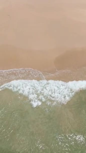 Flygfoto Över Vackra Sandstrand Och Turkost Vatten Tropikerna Borneo Malaysia — Stockvideo