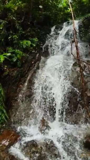 Wodospad Dżungli Bukit Lawang Sumatra Indonezja — Wideo stockowe