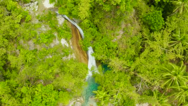 Cachoeira Selva Floresta Tropical Cima Cachoeiras Tropicais Inambakan Selva Montanha — Vídeo de Stock