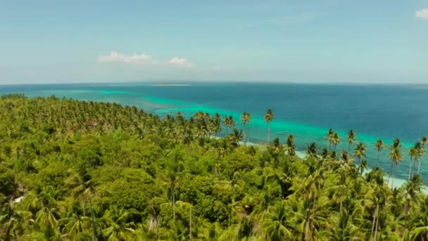 Wybrzeże Wyspy Palmami Plaża Turkusowa Woda Dron Powietrzny Wyspa Turkusowym — Wideo stockowe