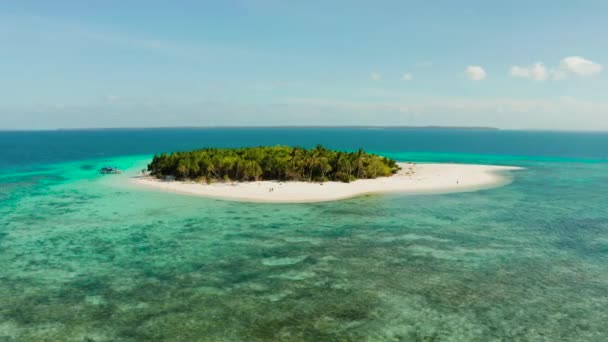 Veduta Aerea Della Spiaggia Sabbiosa Isola Tropicale Con Palme Atollo — Video Stock