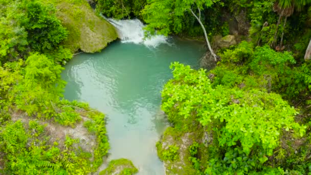 Cachoeira Bonita Floresta Verde Vista Superior Tropical Lusno Cai Selva — Vídeo de Stock