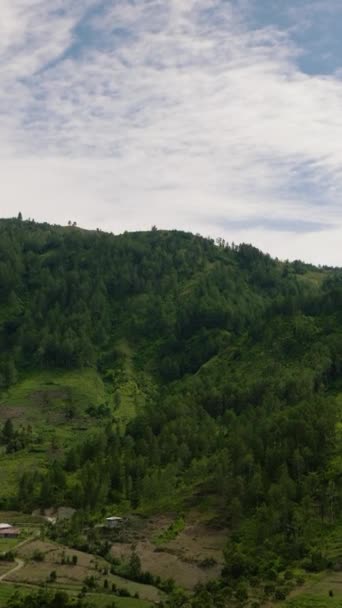 Βουνά Πράσινα Δάση Και Γεωργικές Εκτάσεις Γεωργικές Φυτείες Σουμάτρα Ινδονησία — Αρχείο Βίντεο