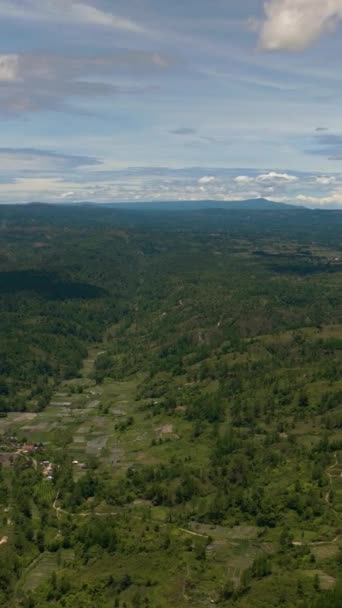 Endonezya Nın Sumatra Adasında Tarım Arazisi Olan Kırsal Bölge Manzarası — Stok video
