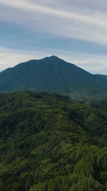 Dağ Yamaçlarında Yağmur Ormanları Orman Manzarası Var Sumatra Endonezya — Stok video
