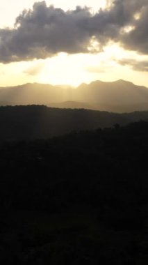 Gün batımında yağmur ormanları ve ağaçlarla dağların havadan görünüşü. Sri Lanka. Dikey video.