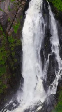 Tropik dağ ormanlarında Şelale 'nin hava aracı. Devon Falls, Sri Lanka. Dikey video.