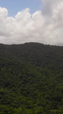 Tropikal dağ sıralarının ve yağmur ormanlarıyla kaplı dağ yamaçlarının havadan görünüşü. Filipinler.