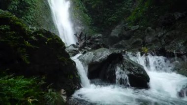 Yeşil bitki örtüsüyle çevrili tropikal bir ormanda orman şelalesi. Dağ ormanında Kabigan Şelalesi. Filipinler, Luzon.