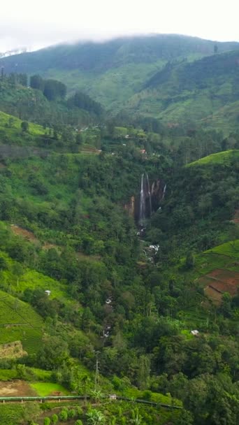 紅茶農園や山間の滝についての空中観察 プナエラ滝 スリランカ垂直ビデオ — ストック動画