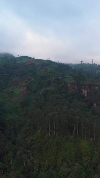Mountains Rainforest Jungle Tea Plantations Sunset Ramboda Sri Lanka Vertical — Stock Video