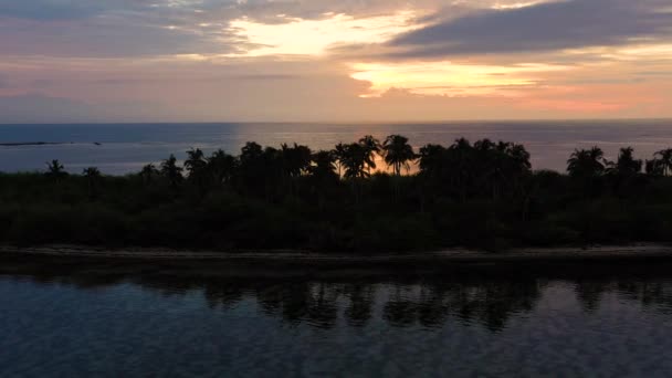 ヤシの木と熱帯の島で日の出 日の出の間の熱帯の島 熱帯の早朝 フィリピン アンダ パンガシナン 旅行のコンセプト — ストック動画