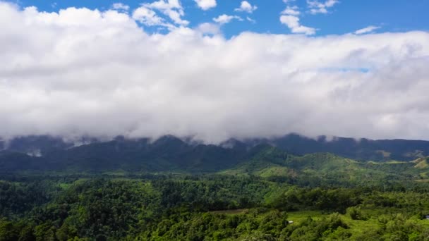 Mountains Covered Rainforest Trees Blue Sky Clouds Aerial View Philippines — Stock Video