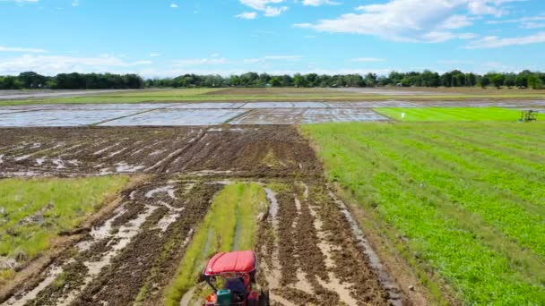 農家は田んぼで働いています トラクターは米を植えるための土壌を準備し トップビュー トラクターはアジアのフィールドで働く — ストック動画