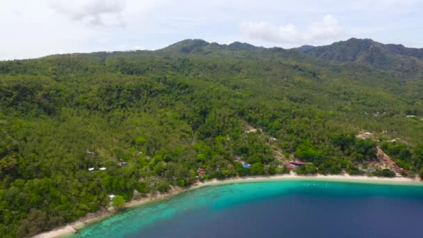 熱帯の風景 美しいビーチと島 ターコイズブルーの水でヤシの木 カニバッドビーチ 島の庭サマル市 ダバオ — ストック動画