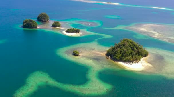 Tropikal Adanın Kumlu Havadan Görünüşü Mercan Resifli Palmiye Ağaçları Britanya — Stok video
