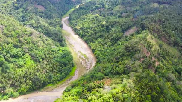 Uma Paisagem Tropical Com Rio Que Flui Através Montanhas Vegetação — Vídeo de Stock