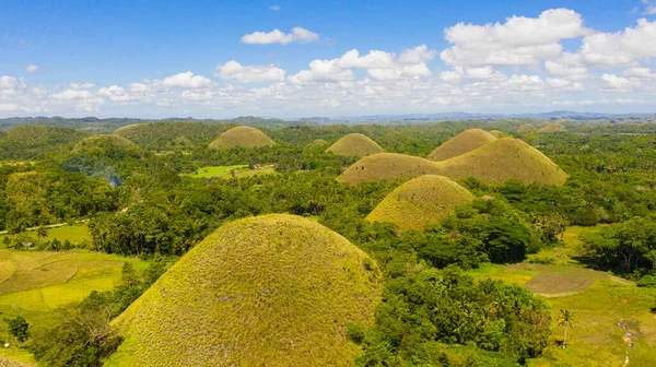 Chocolate Hills One Main Attractions Island Bohol Summer Landscape Philippines — Stock Photo, Image