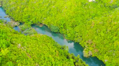 Dağ ormanında yeşil ağaçlarla kaplı bir nehir. Bir dağ kanyonundaki yağmur ormanındaki Loboc nehri. Bohol, Filipinler.