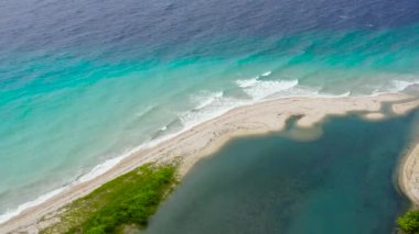 Beyaz kumlu, palmiye ağaçlı, turkuaz okyanuslu güzel tropikal plajlar. Bohol, Filipinler.