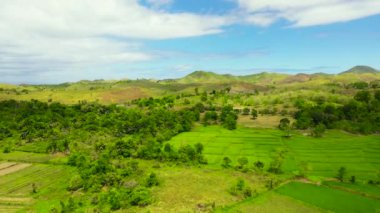 Filipinler 'in Bohol adasının dağlık bölgesinde ekinleri olan tarım ve tarım arazisi yukarıdan görülüyor..