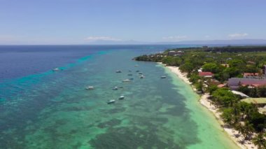 Kum plajı olan güzel bir tropikal ada. Panglao, Filipinler. Güzel Alona sahilleri ve palmiye ağaçları olan bir deniz burnu..