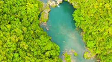 Dağ ormanında yeşil ağaçlarla kaplı bir nehir. Bir dağ kanyonundaki yağmur ormanındaki Loboc nehri. Bohol, Filipinler.