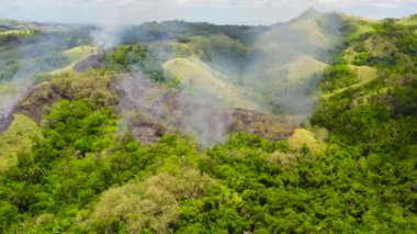 Tepelerdeki yağmur ormanlarında tropikal bitki örtüsüyle kaplanmış yangın. Yukarıdan orman yangını görünüyor. Bohol, Filipinler.