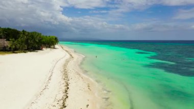 Kumsal, güzel panoramik deniz manzarası, temiz su. Panglao Adası, Bohol, Filipinler. Yaz ve seyahat tatil konsepti.
