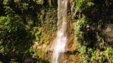 Yeşil bitki örtüsüyle çevrili tropikal bir ormandaki orman şelalesinin havadan görünüşü. Can-umantad Şelalesi dağ ormanında. Bohol, Filipinler.