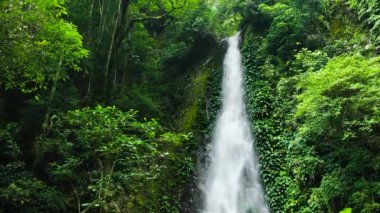 Yeşil ormanın içindeki şelalelerin insansız hava aracı. Ağır çekim. Pulang-Tubig Şelalesi. Zenciler, Filipinler.